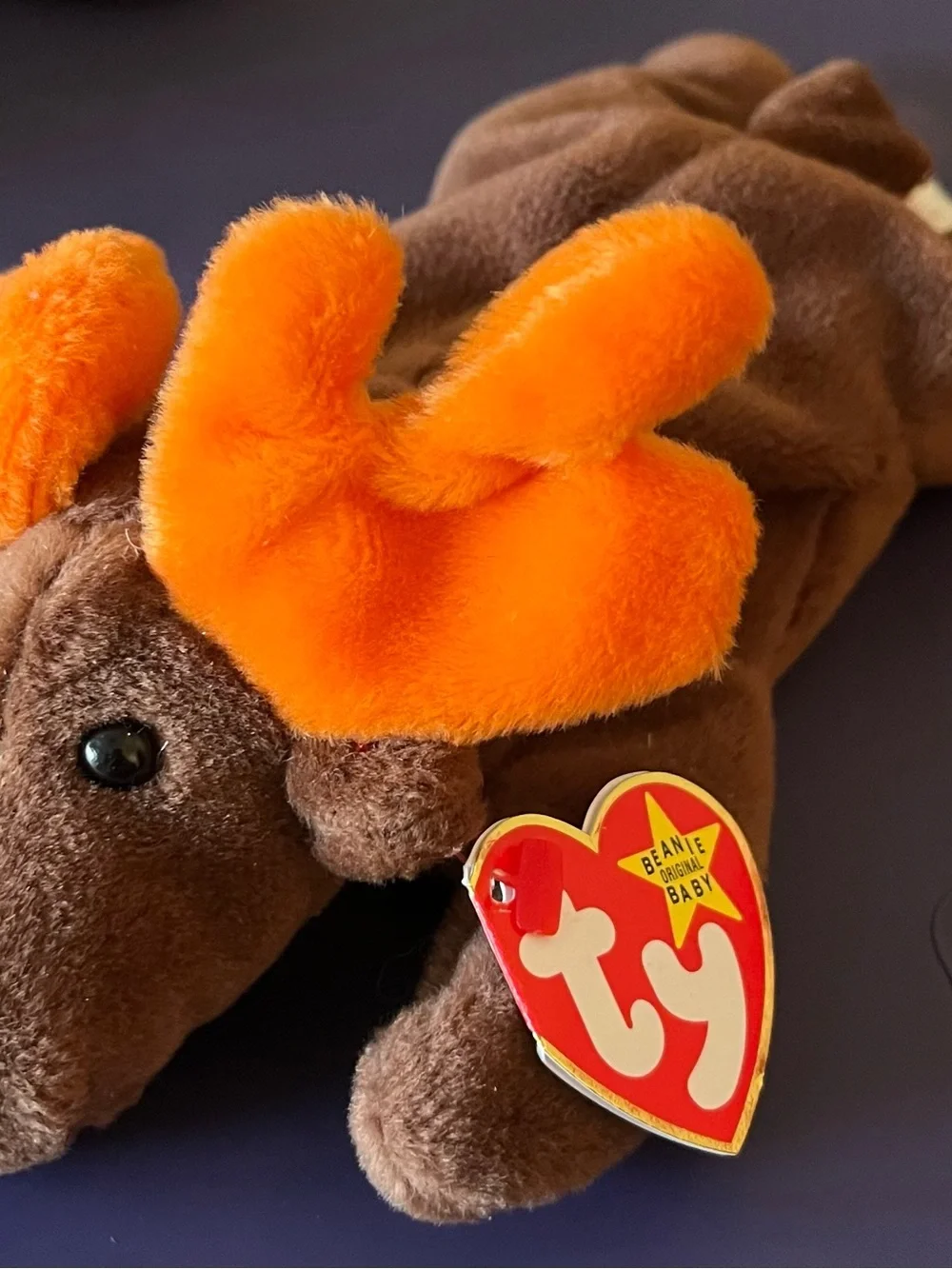 Chocolate the Moose Beanie Baby